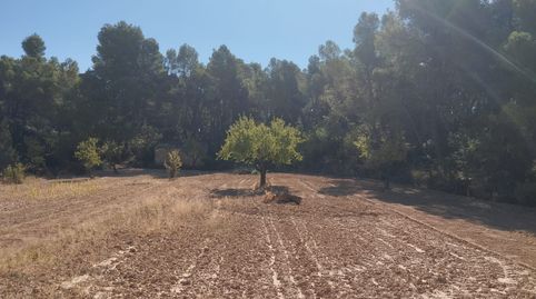 Finca rústica con maset en Valderrobres, immagine 4