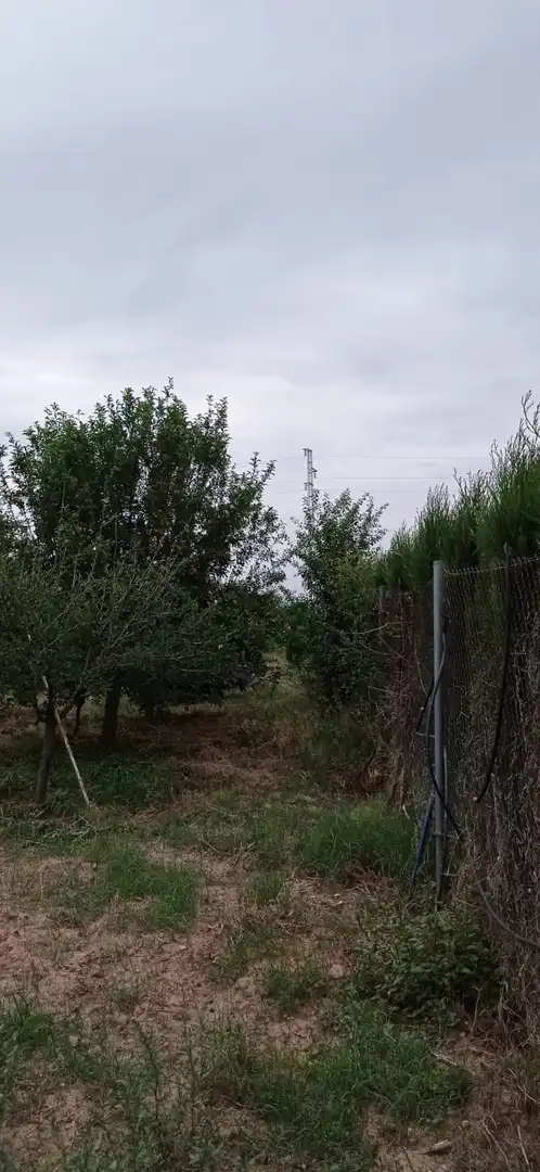 Terreny rústic en venda a La Algaba, imagen 6