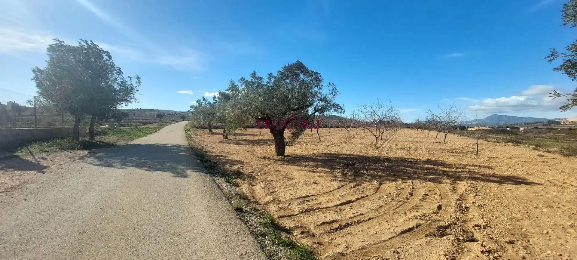Terreno rustico in vendita a Calle Hondón de los Frailes 2, imagen 4