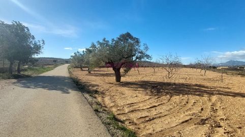 Vive el campo cerca del pueblo finca rústica con opción de construcción, imatge 4