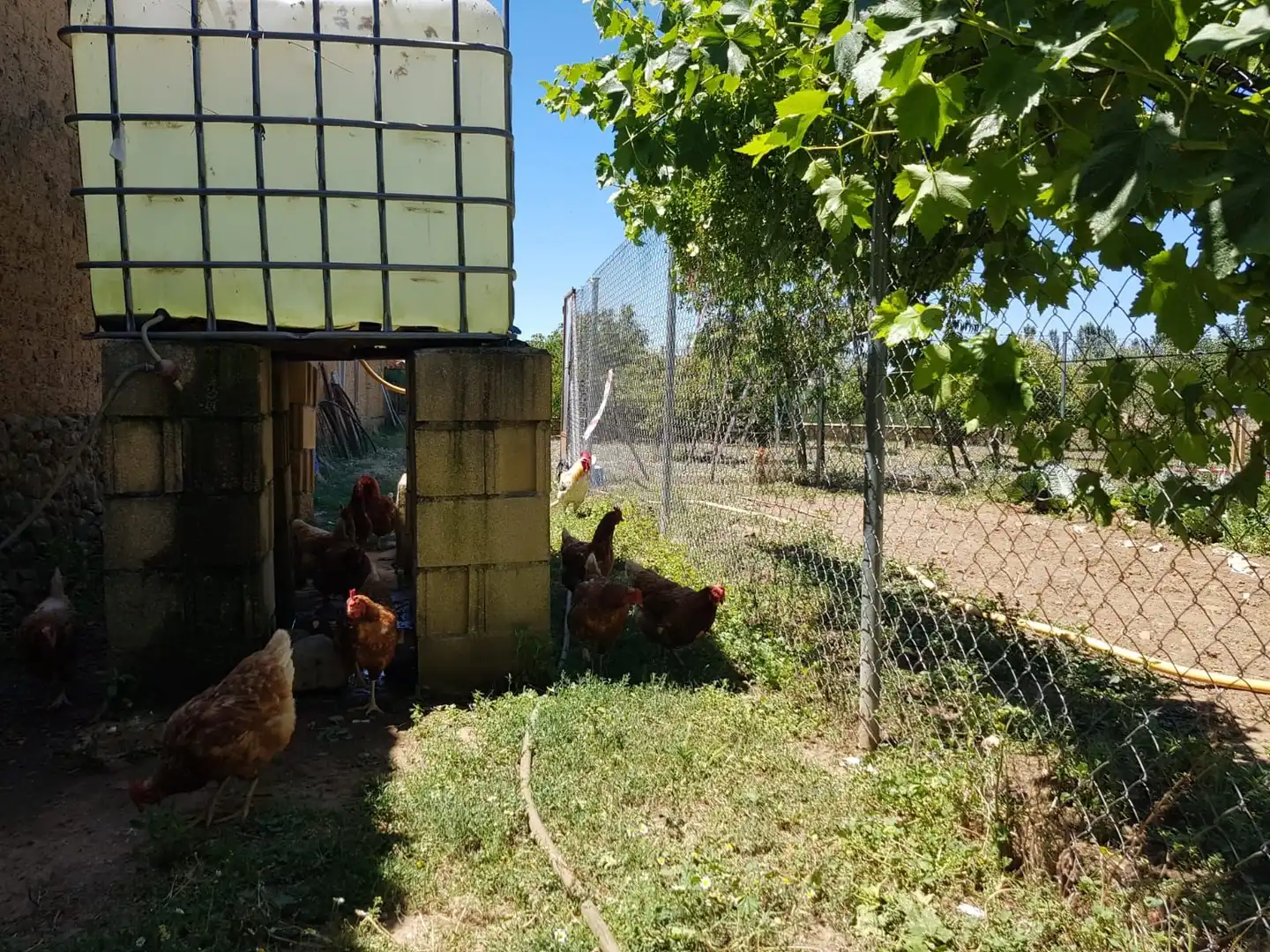 Vista exterior de Casa o xalet en venda en Aldehuela de Yeltes amb Calefacció, Moblat i Forn