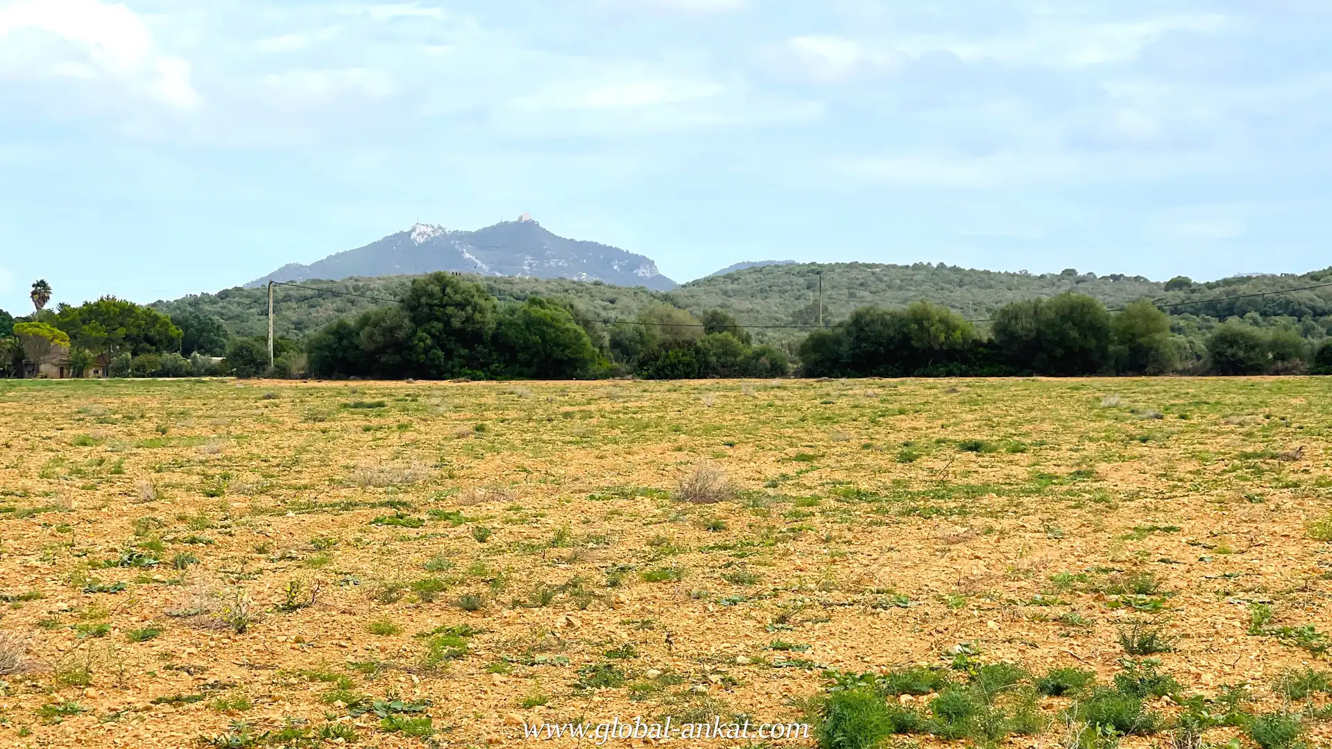 Residential land for sale in Felanitx Poble