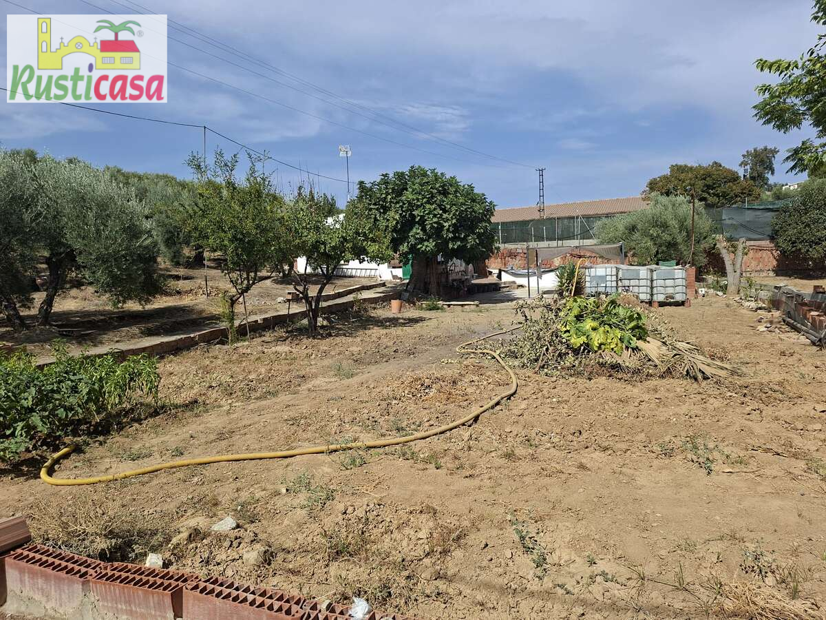 Casa o xalet en venda en Bailén amb Jardí privat