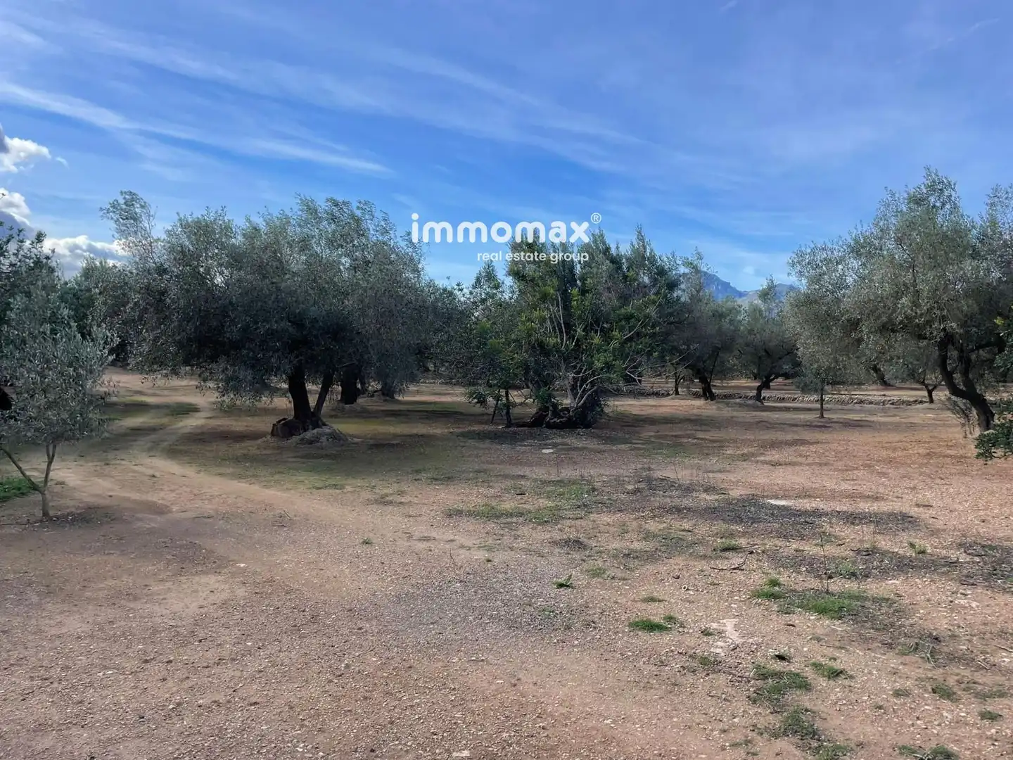 Residential land for sale in 10, imagen 20