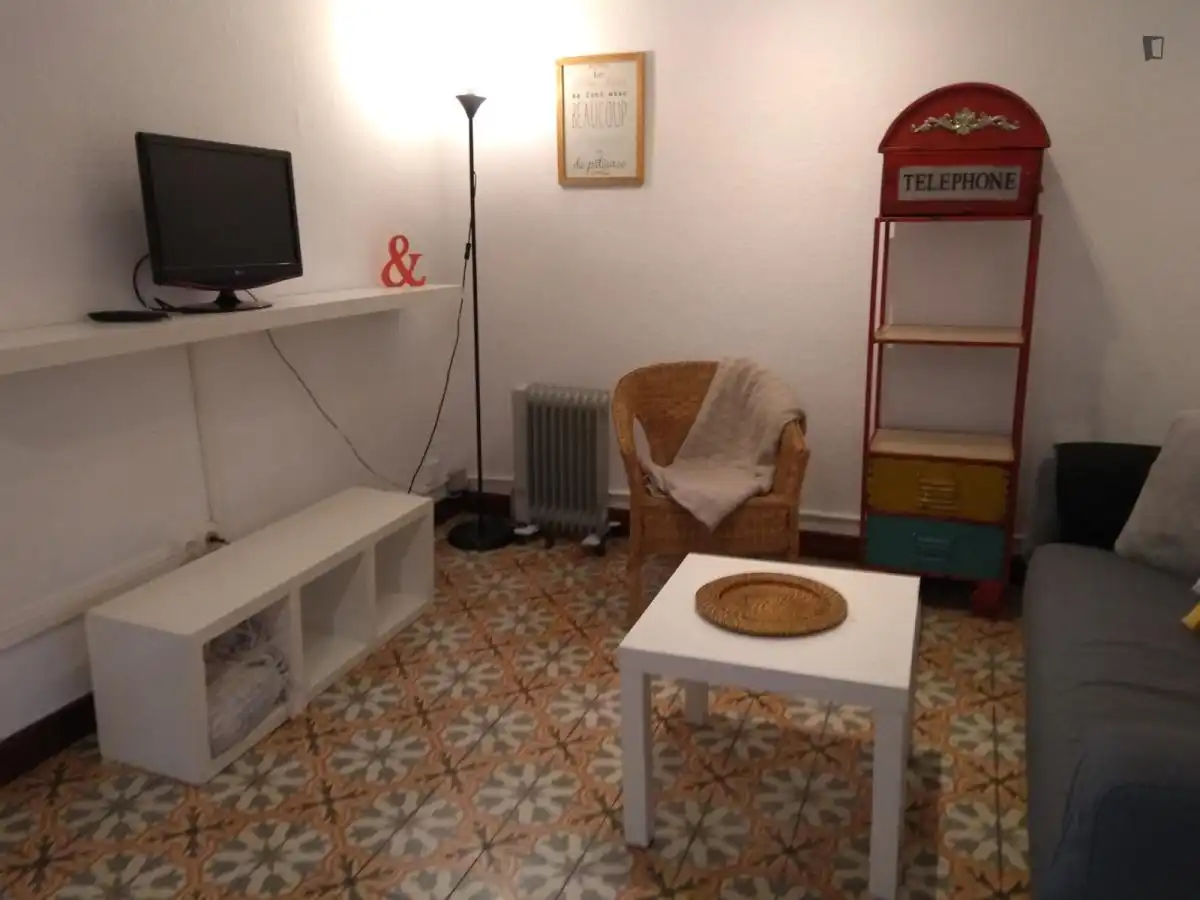 Sala d'estar de Apartament per a compartir en Barcelona amb Moblat, Forn i Rentadora
