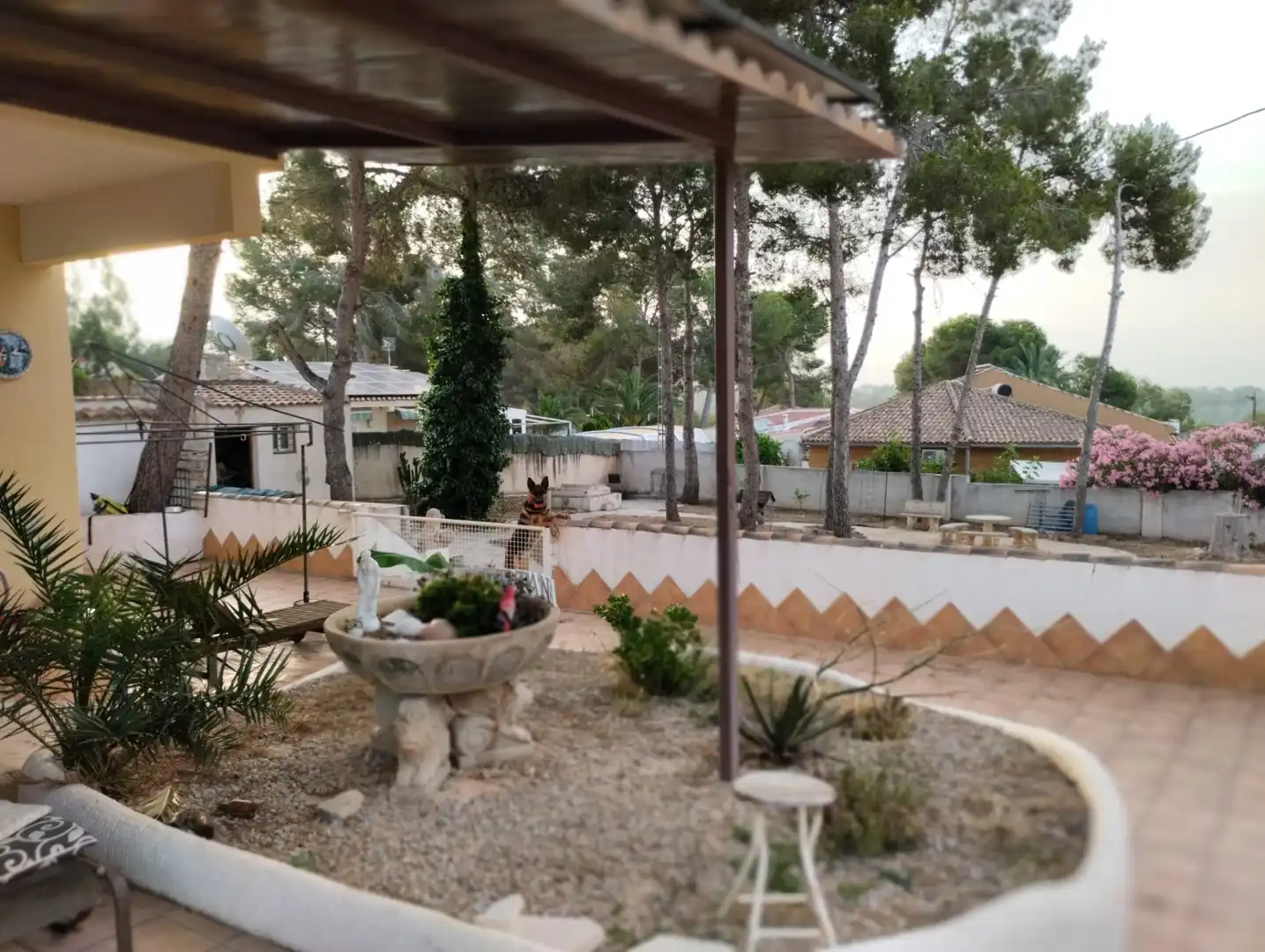 Xalet amb jardí en venda a El Pinar de Campoverde, imagen 46
