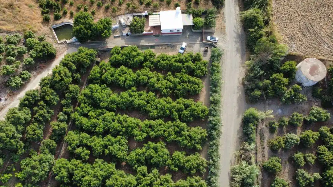 Vista exterior de Casa o xalet en venda en Benamocarra amb Jardí privat i Moblat