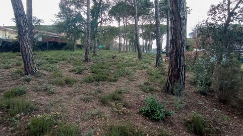TERRENO CON POCA PENDIENTE EN LLAGOSTERA , immagine 4