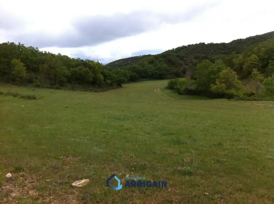 Casa o chalet en venta en La Moraleja con Jardín privado