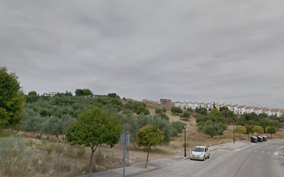 Vista exterior de Residencial en venda en Arcos de la Frontera