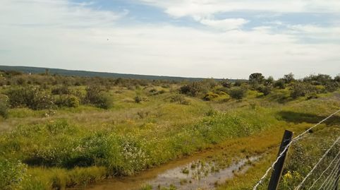 Foto 3 von Grundstücke zum Verkauf in N-232, 25, Doctor Cerrada, Zaragoza Capital