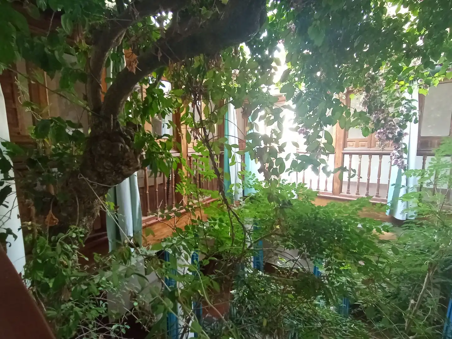 Jardín de Casa o chalet en venta en Córdoba