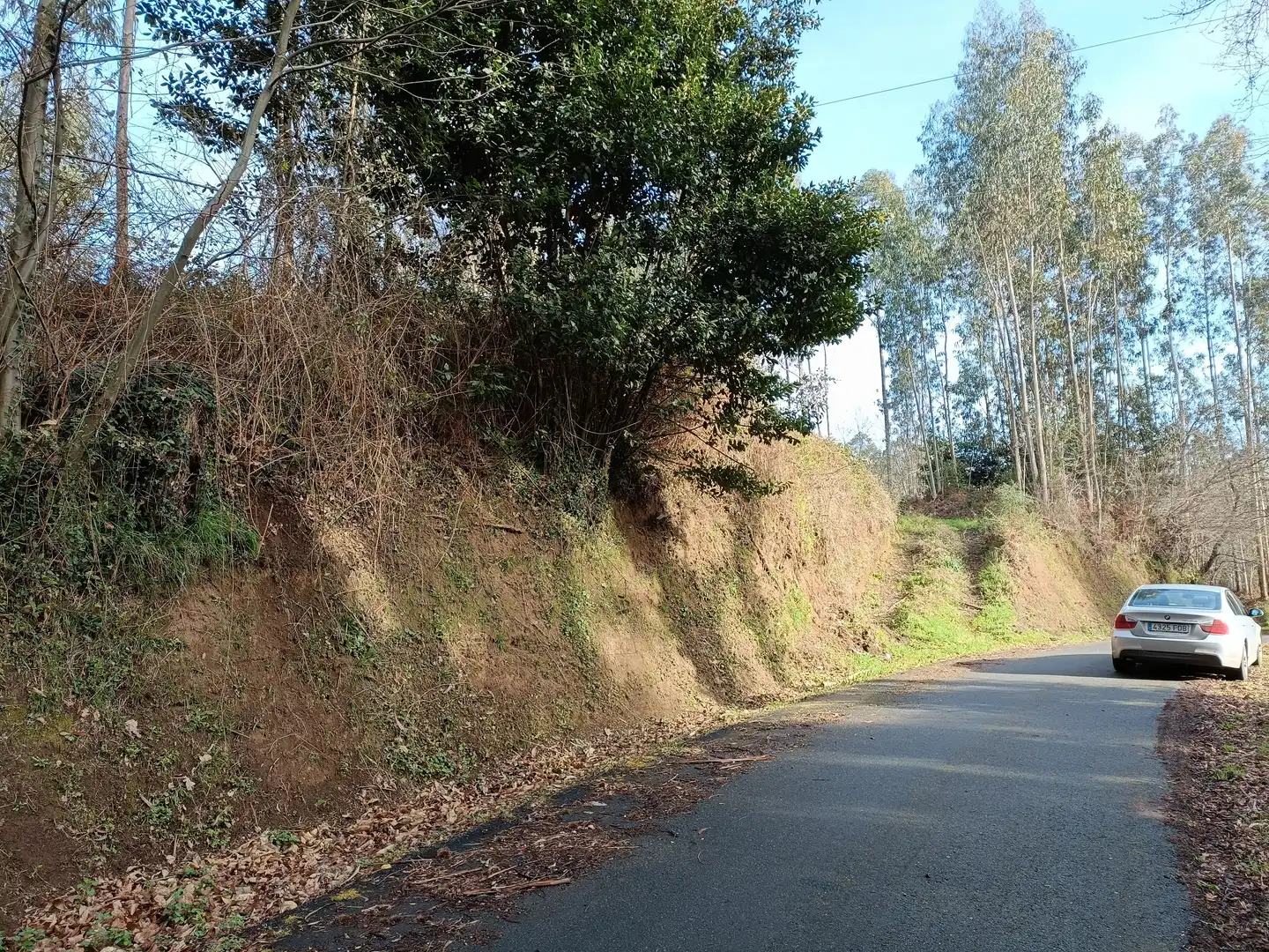 Terrain rustique à vendre à Oza dos Ríos, imagen 3
