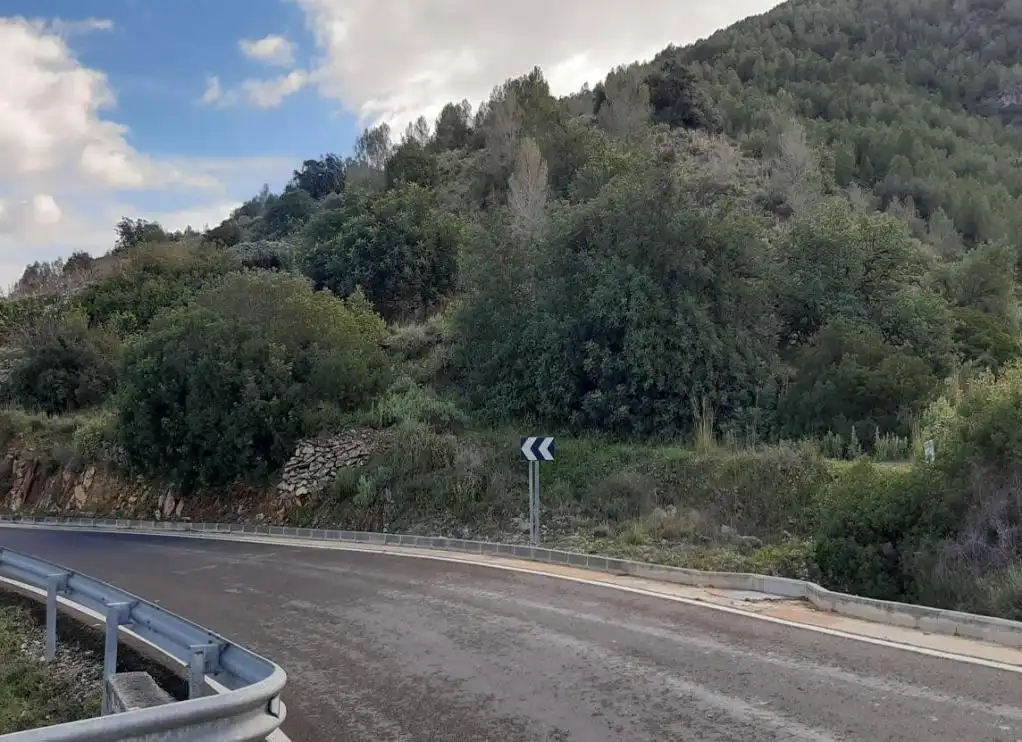 Vista exterior de Terreno en venta en Carrícola