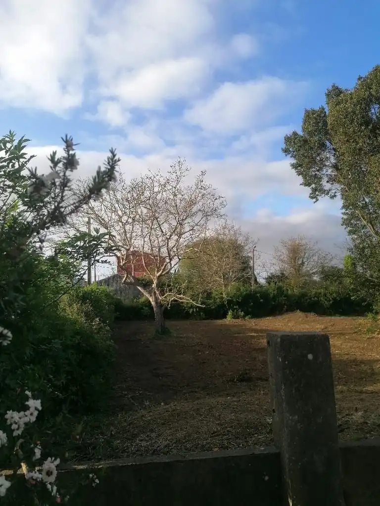 Terreni e lotti in vendita a Piñeiros- Freixeiro, imagen 2