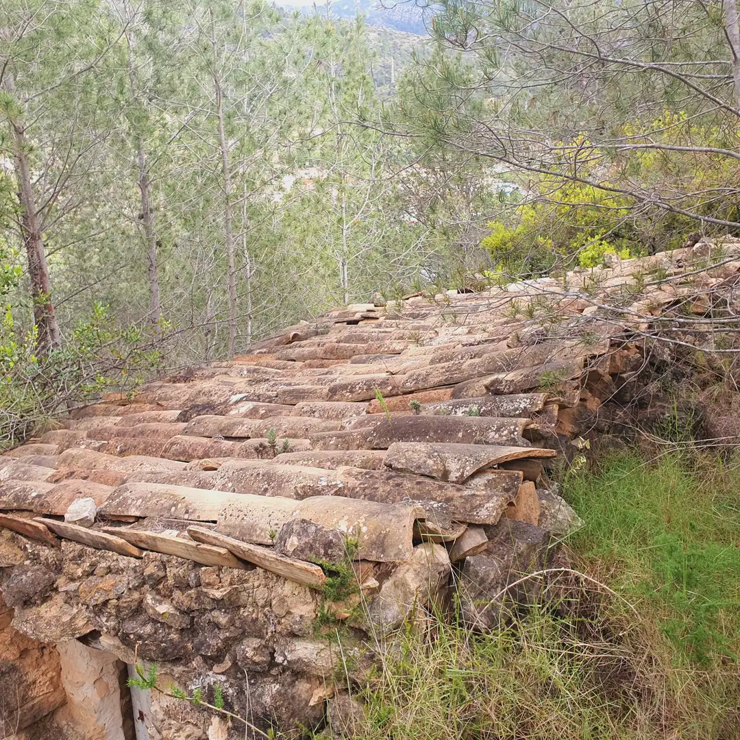 Terrain rustique à vendre à Benifallet, imagen 31