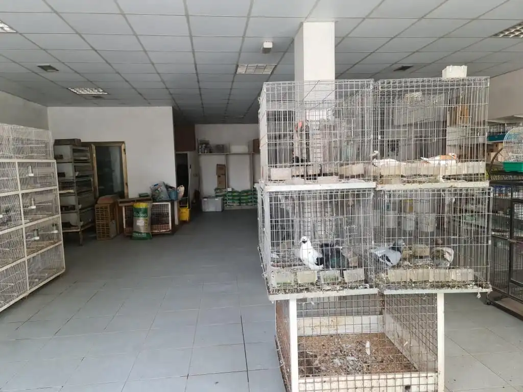 Commercial properties for sale in Padrón