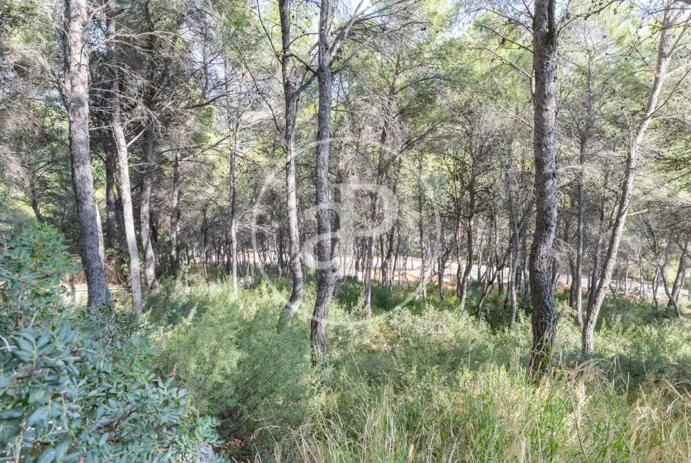 Terreno residenziale in vendita a El Bosque, imagen 19