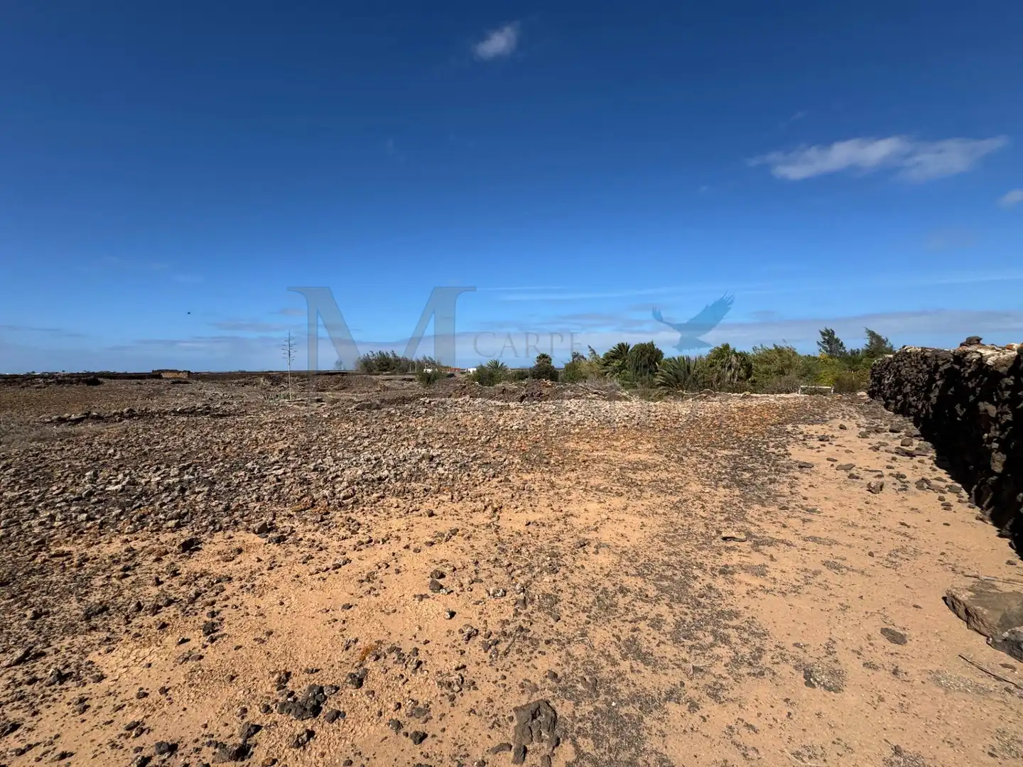 Land for sale in La Oliva