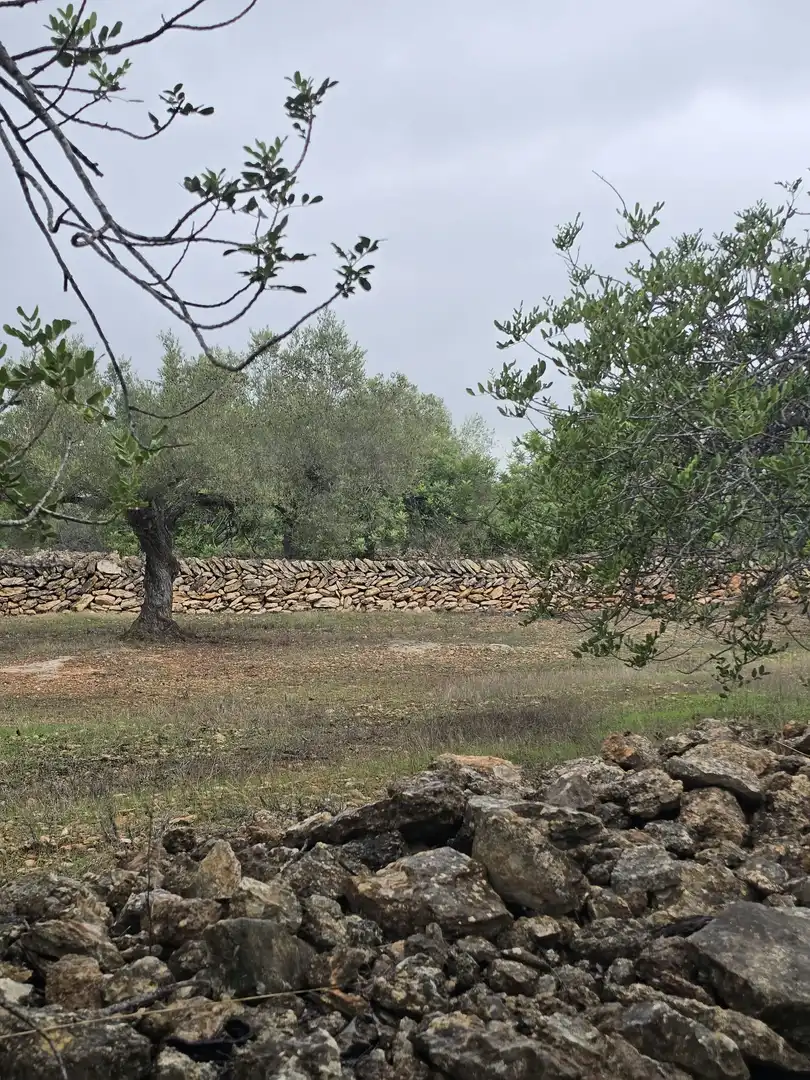 Terreny rústic en venda a Les Tres Cales, imagen 4