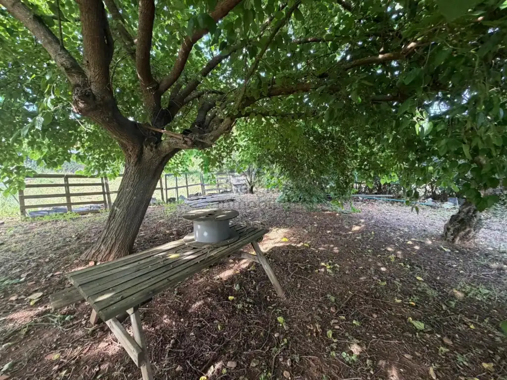 Jardí de Casa o xalet en venda en Badajoz amb Aire condicionat, Jardí privat i Piscina
