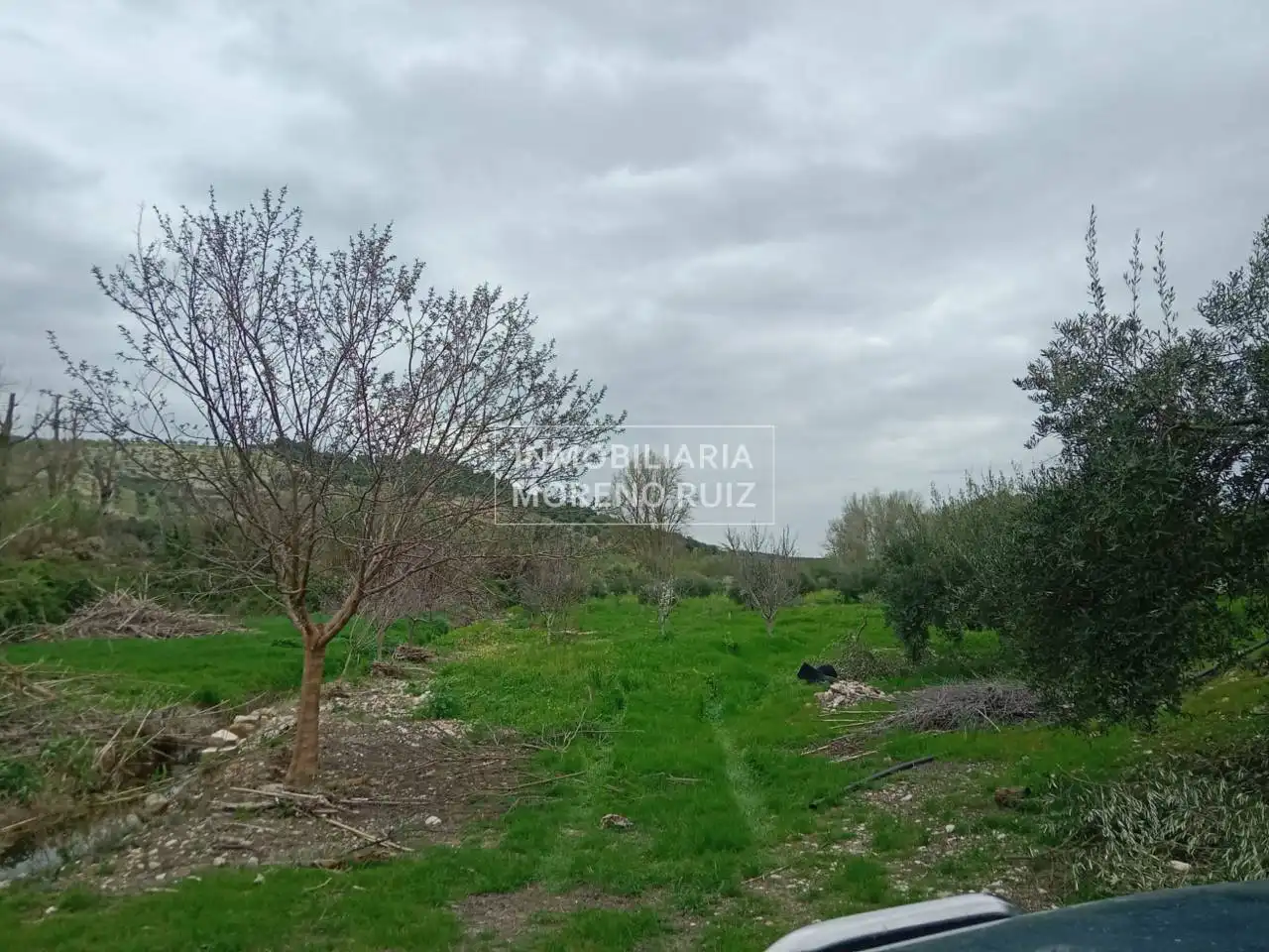 Terreny residencial en venda a Luque, imagen 3