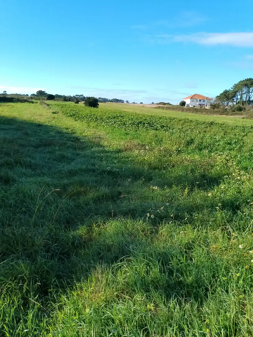 Land for sale in Ribeira