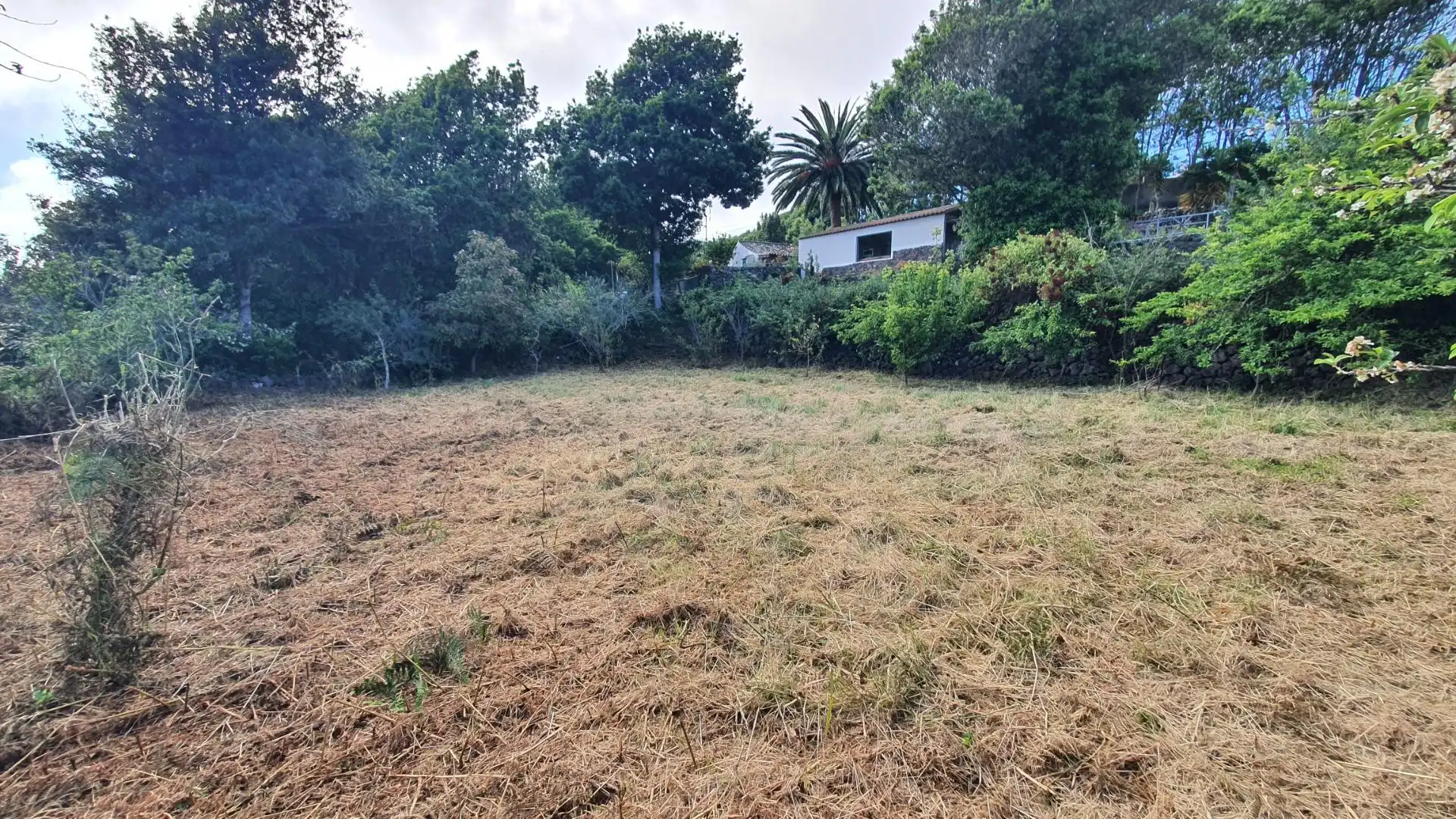 Haus oder Chalet zum Verkauf in Calle LAS CASTRAS, El Tanque