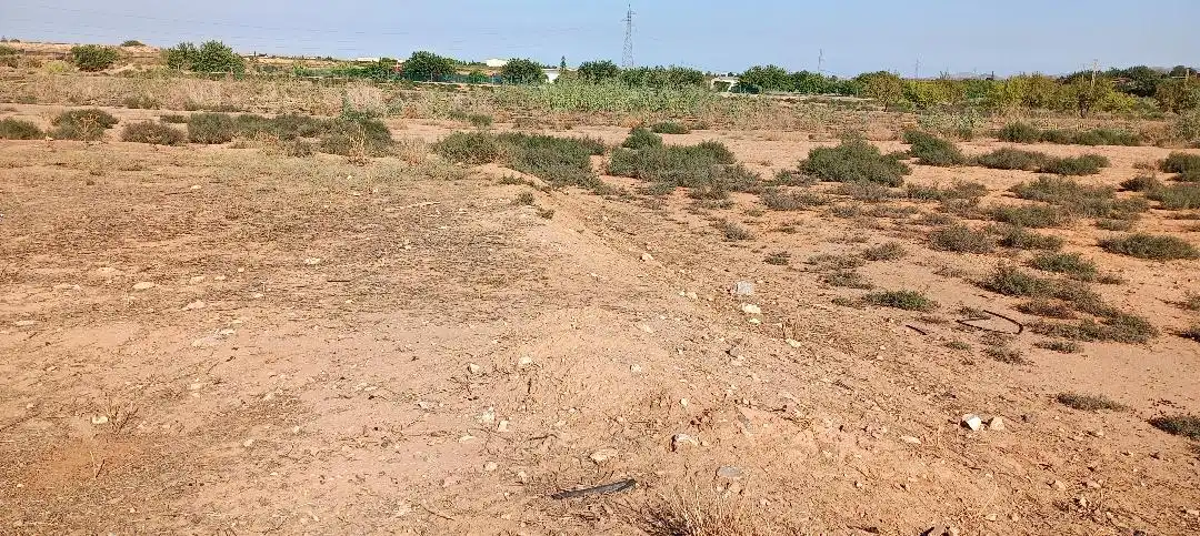 Rustikales Grundstück zum Verkauf in Pedanías Oeste, imagen 4