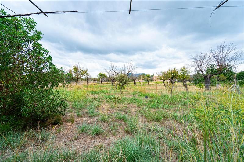Country house zum verkauf in Selva
