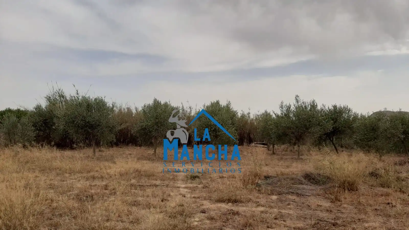 Country homes for sale in Tobarra  with Furnished