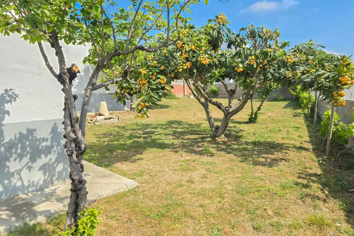 Jardí de Casa o xalet en venda en Roses