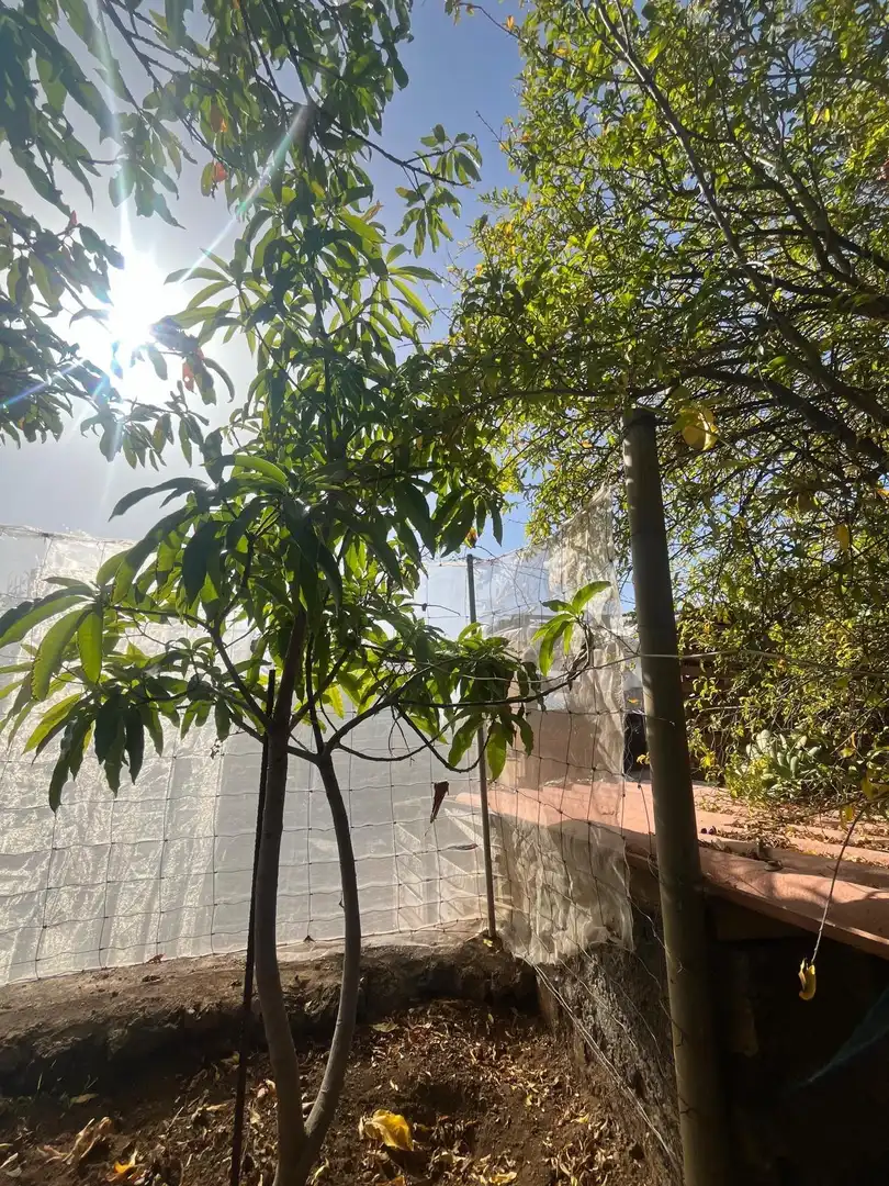 Jardín de Residencial en venta en El Pinar de El Hierro