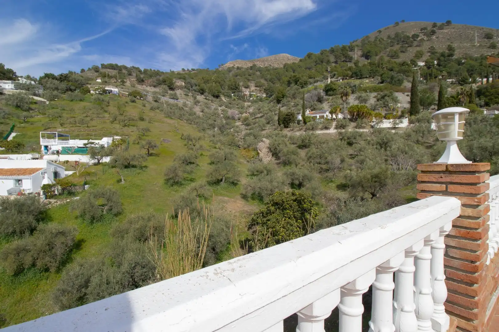 Jardín de Casa o chalet en venta en Cómpeta