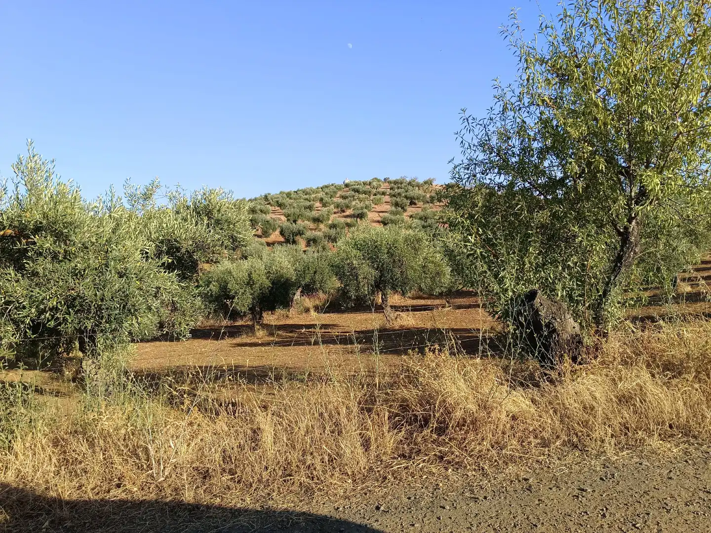 Residencial en venta en Montemolín