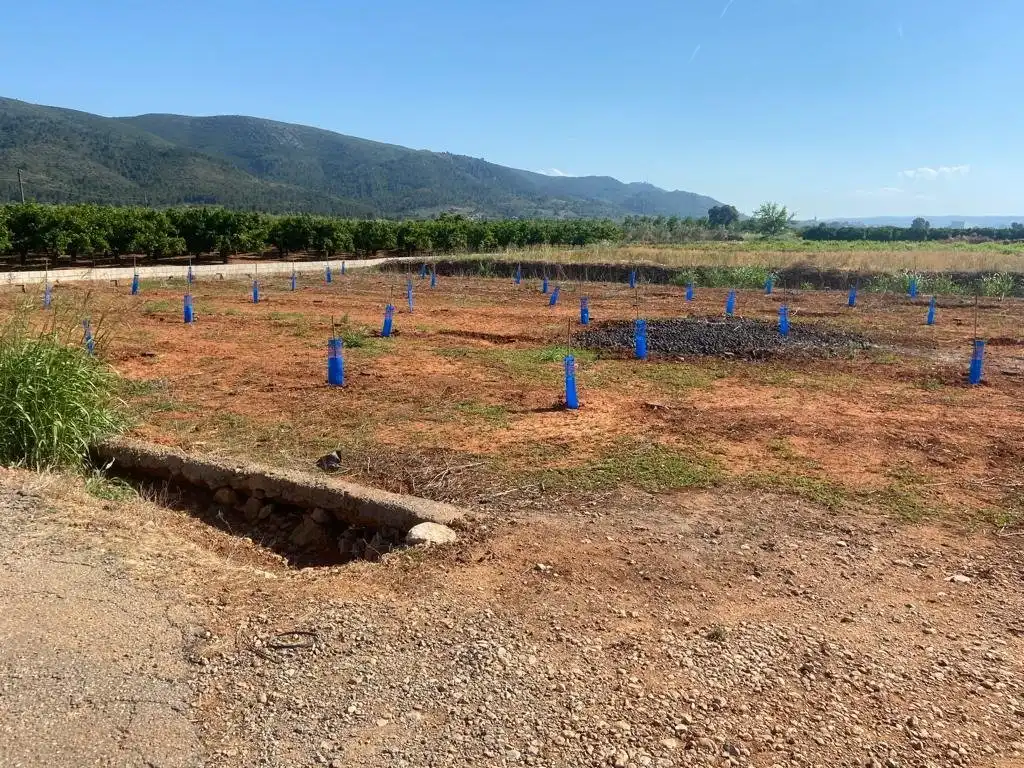 Terreno en venta en Anna