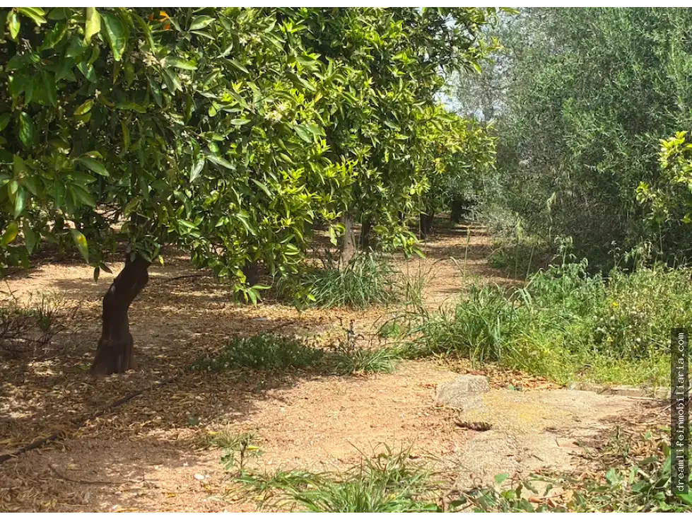 Terrenys i solars en venda a Playa - Ben Afeli, imagen 9