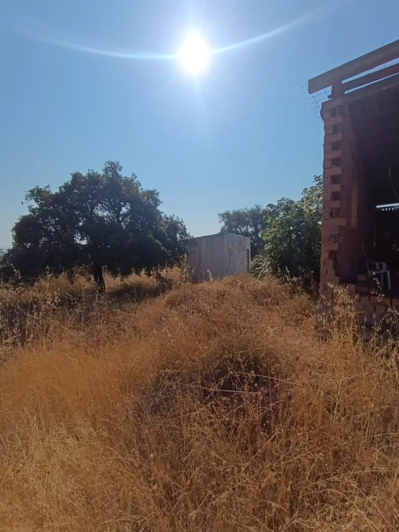 Terreno rustico in vendita a Castilblanco de los Arroyos, imagen 4