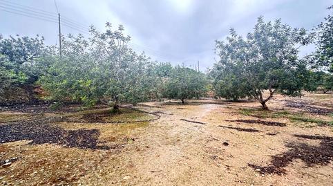Foto 3 von Fabrikhallen zum Verkauf in Urbanitzacions, Tortosa