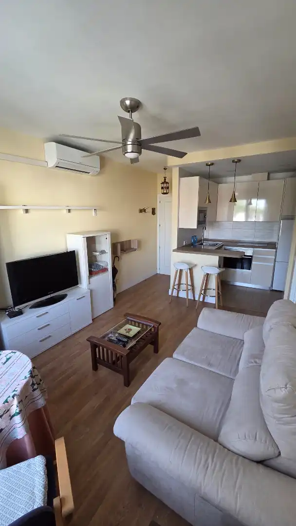 Living room of Apartments for rent in Madrid  with Air Conditioner, Heating and Furnished