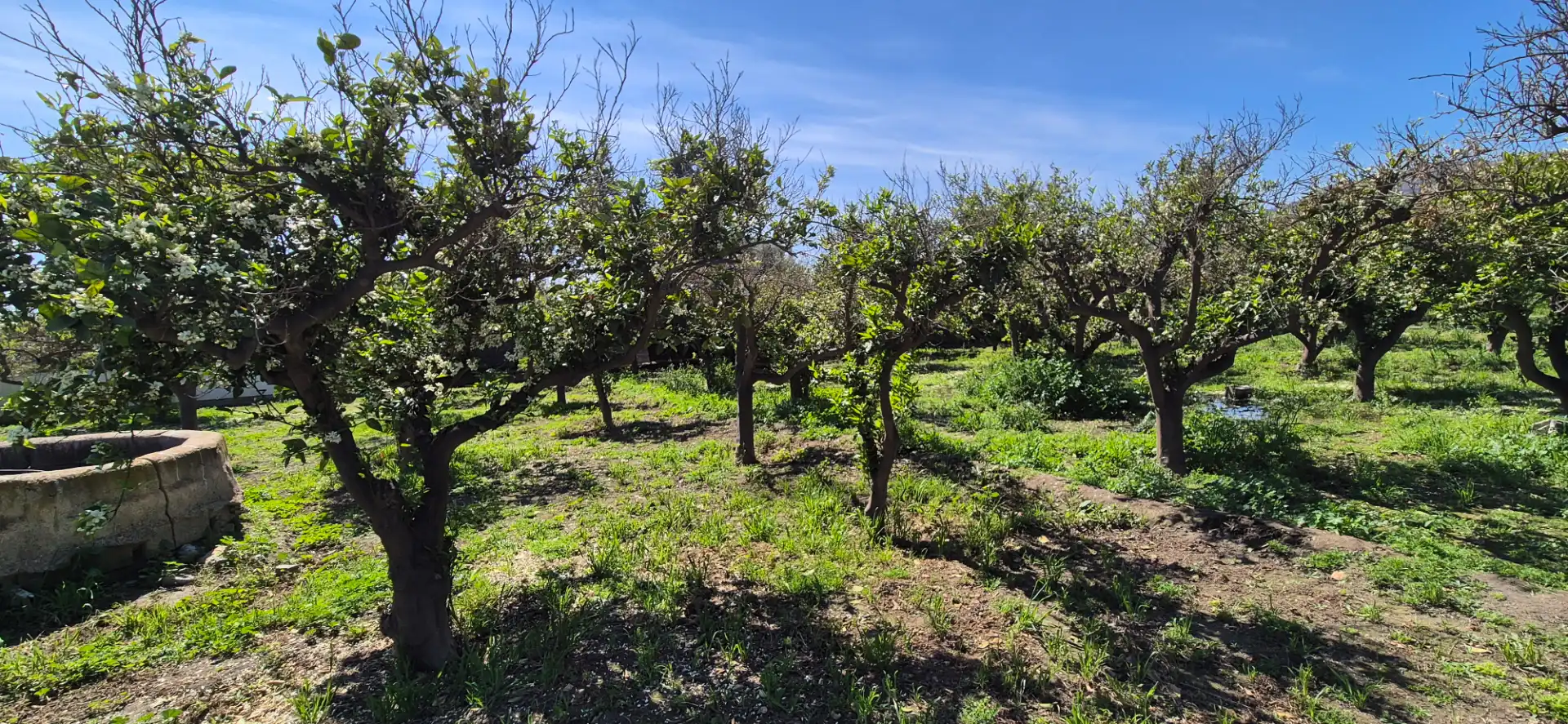 Finca rústica en venda en Benahadux
