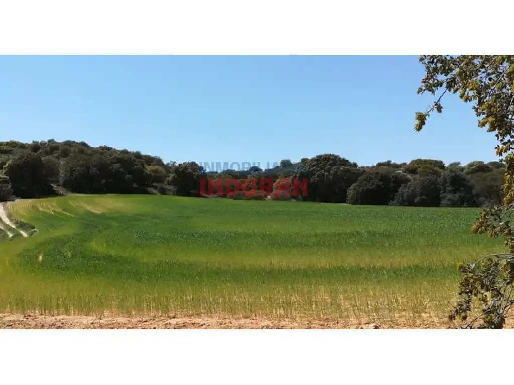 Finca rústica en venta en Villarrubia de Santiago