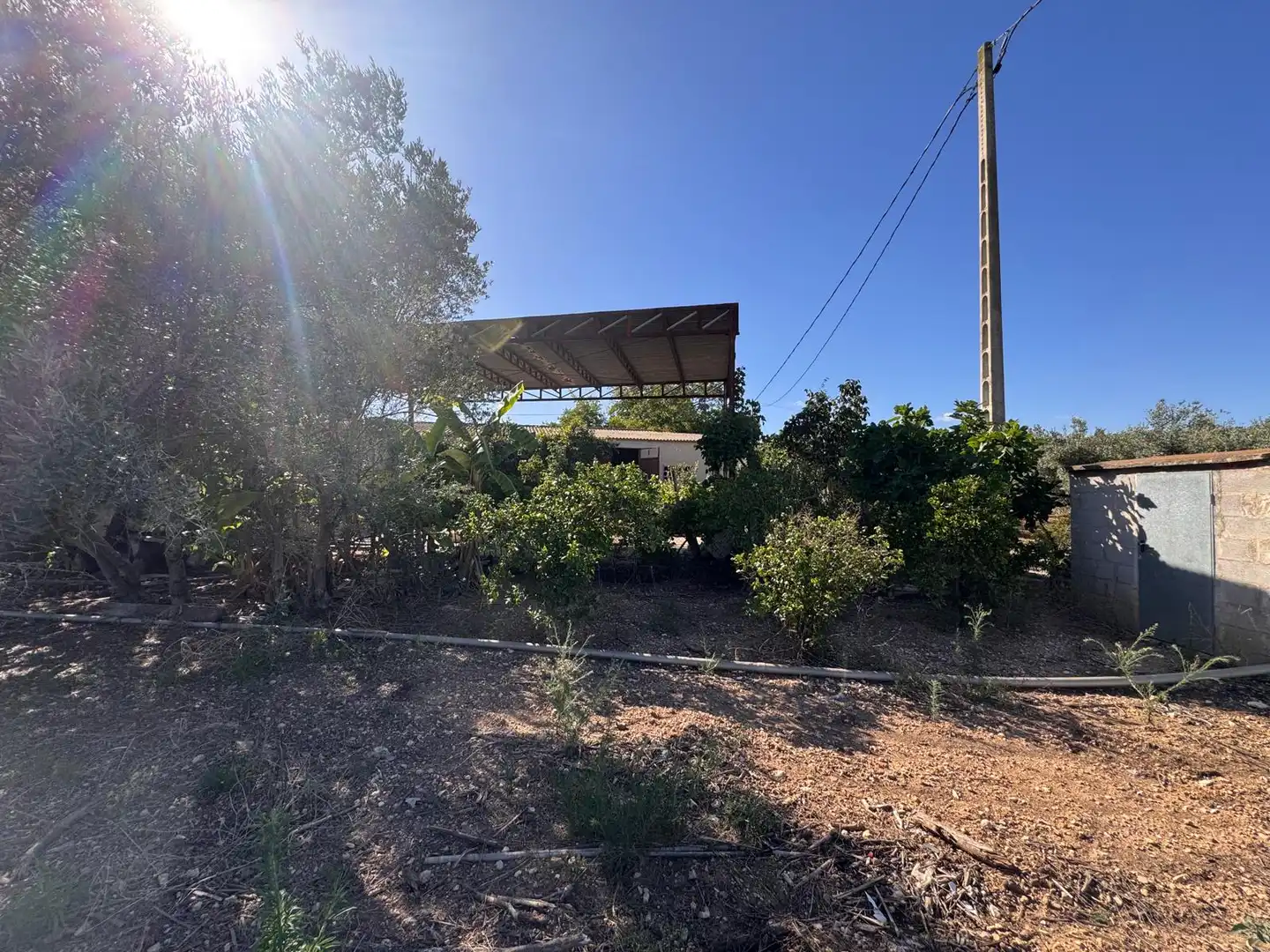 Vista exterior de Terreno en venta en Ulldecona
