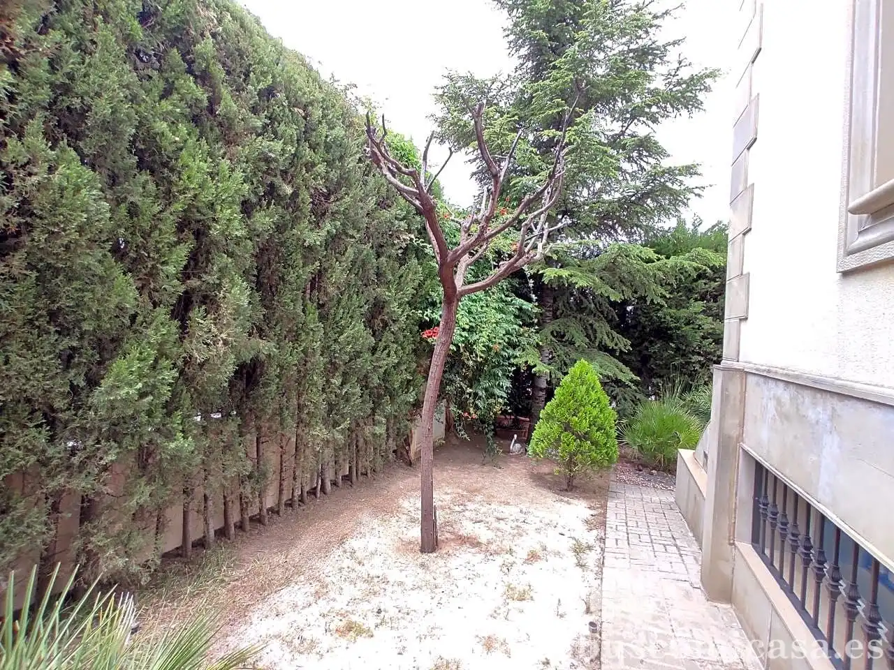 Casa o xalet en venda a Italia, San Gonzalo