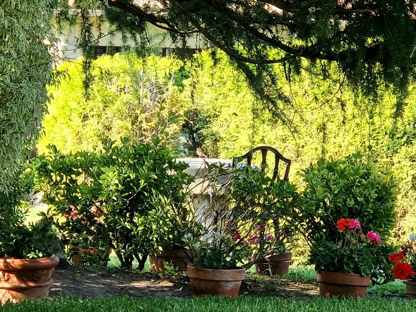 Jardí de Casa o xalet en venda en Gondomar amb Calefacció, Parquet i Terrassa