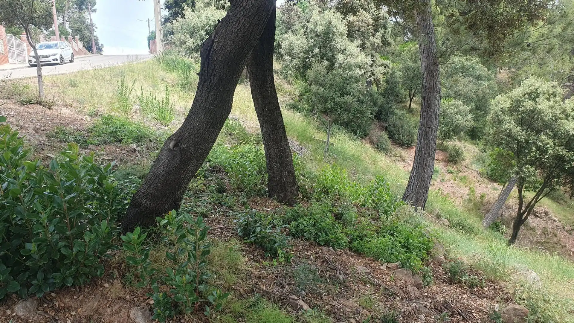 Residential for sale in Castellnou de Bages
