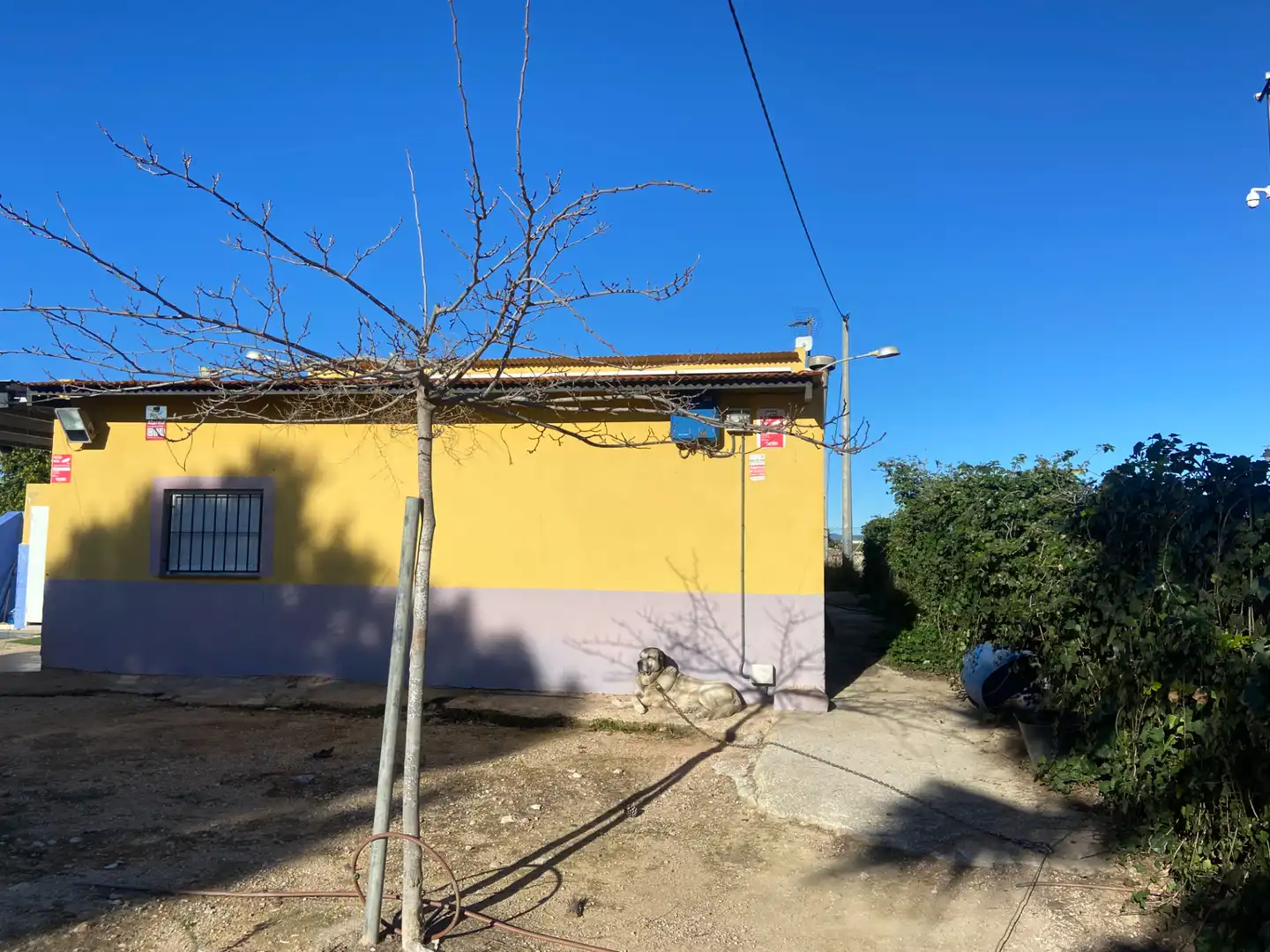 Vista exterior de Finca rústica en venda en Torre-Pacheco amb Terrassa, Piscina i Moblat