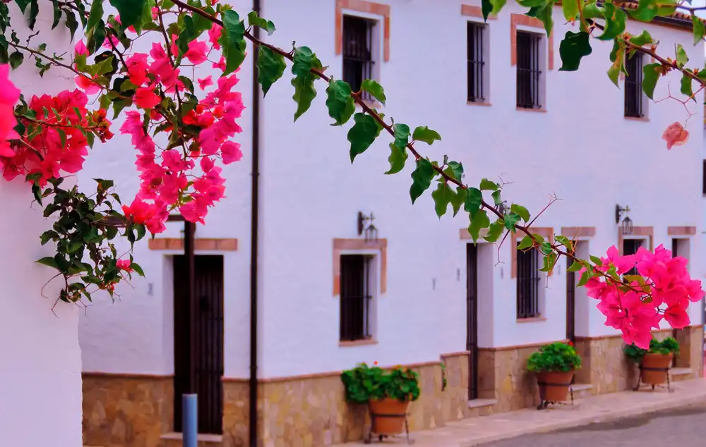 Exterior view of Houses for rent in El Bosque  with Air Conditioner, Private garden and Terrace