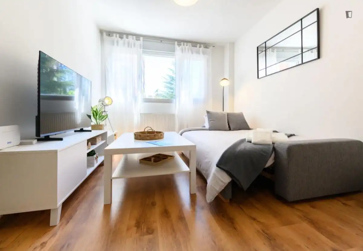 Apartamento de alquiler en Almenara -Ventilla