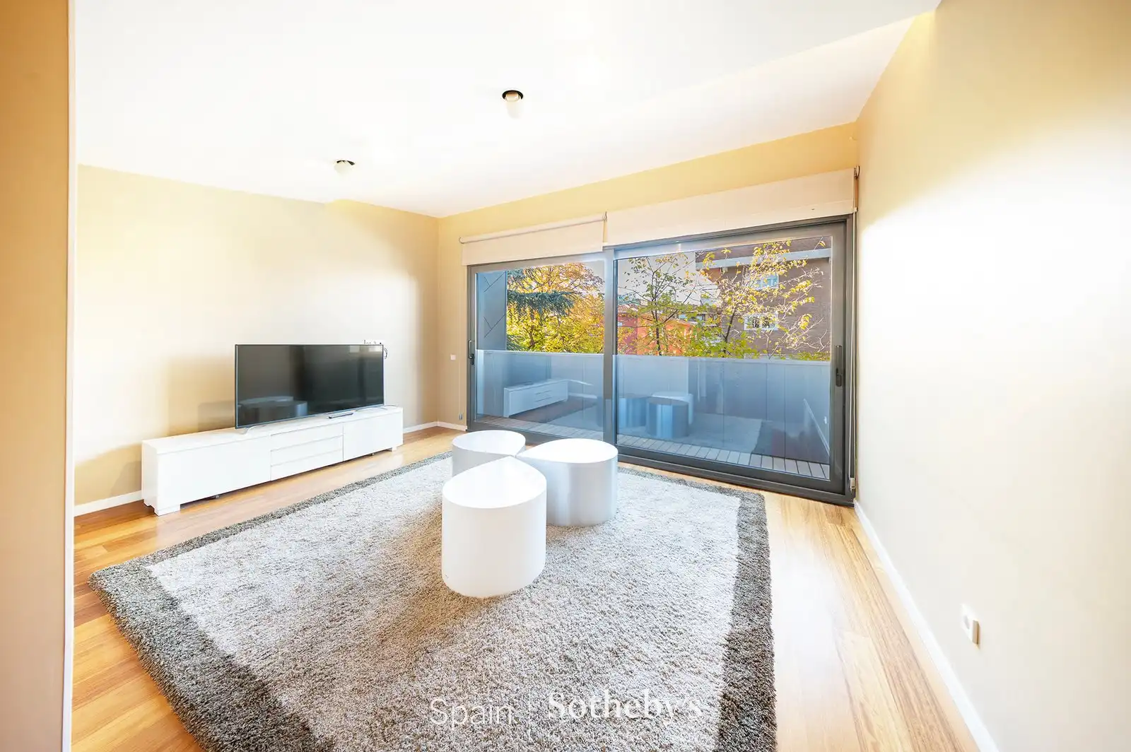 Sala d'estar de Casa o xalet en venda en Madrid amb Aire condicionat, Calefacció i Jardí privat